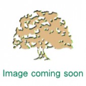Rustic Oak Full Stave Worktop 2m x 620mm x 38mm
